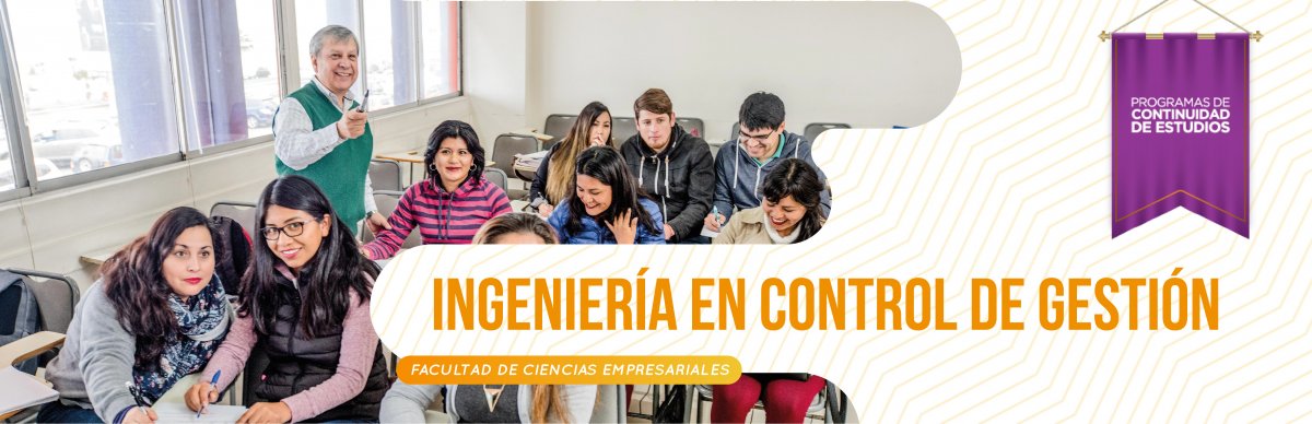 INGENIERÍA EN CONTROL DE GESTIÓN