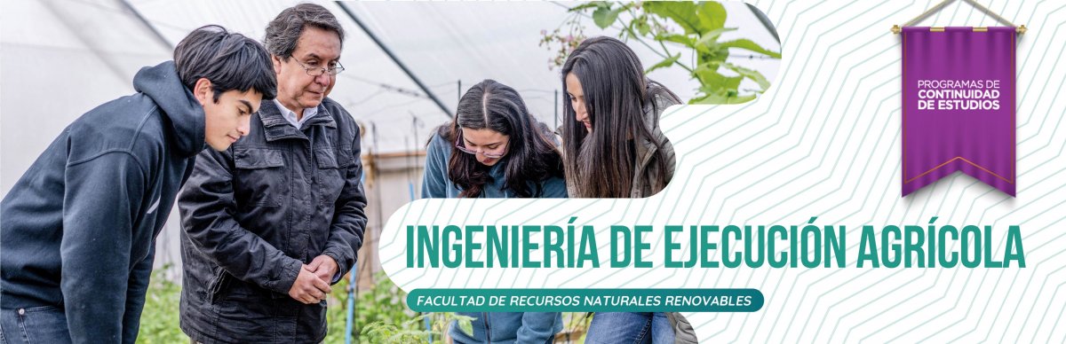 INGENIERÍA DE EJECUCIÓN AGRÍCOLA