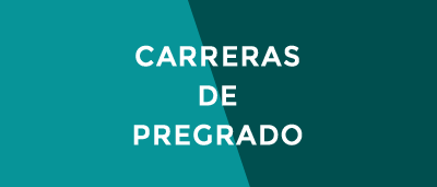 Carreras de Pregrado