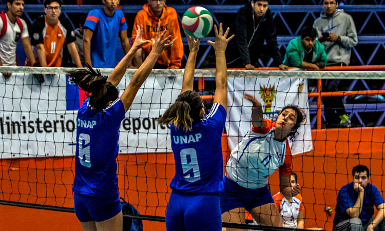 Deporte Inter Carreras