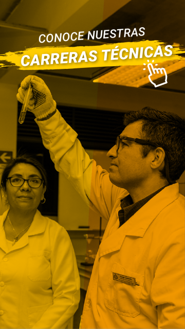 Carreras Técnicas