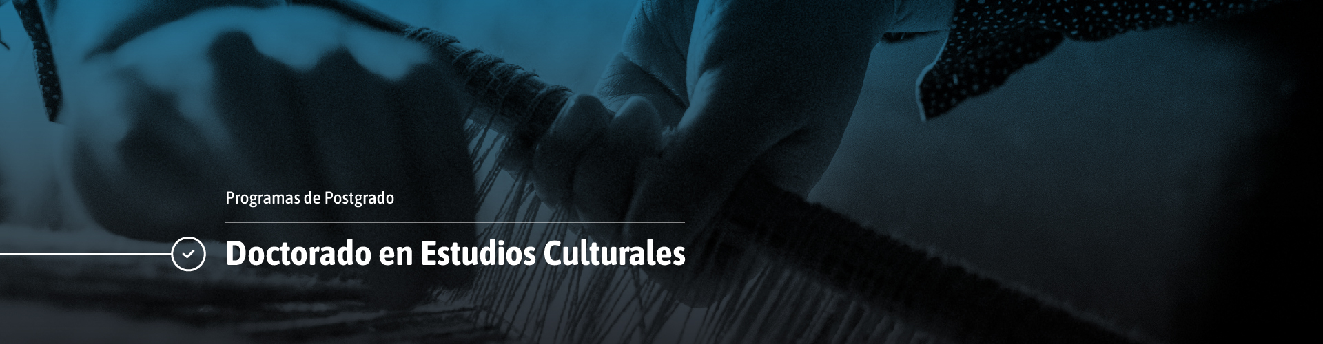 VRII PORT IECYT - Doctorado Estudios Culturales