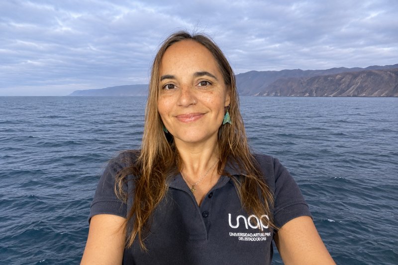 Investigadora de la UNAP participa en estudio que descifra las interacciones tróficas de un ecosistema protegido en la zona austral